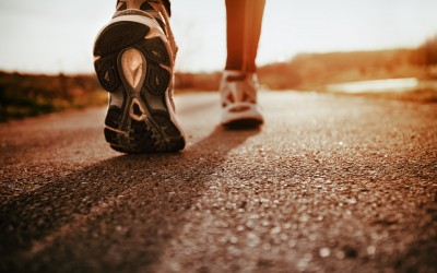 Caminante, se hace camino al andar
